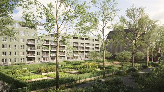 Borgerwijk Sint-Katelijne-Waver