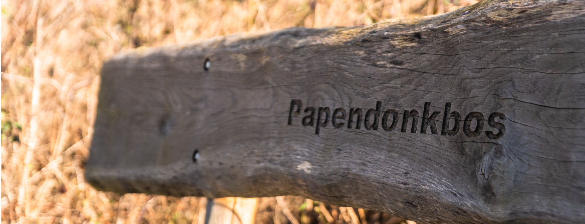 Het Papendonkbos in Lint